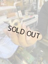 フクロモモンガの赤ちゃん　ホワイトフェイス♪大特価‼️
