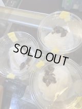 国内CB ニシアフリカトカゲモドキ　hetオレオ50%hetパターンレス