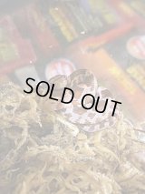 ありえへんセール‼️コーンスネークhetブラッドレッドアルビノ数量限定‼️