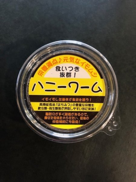 画像1: ハニーワーム　35匹入り (1)